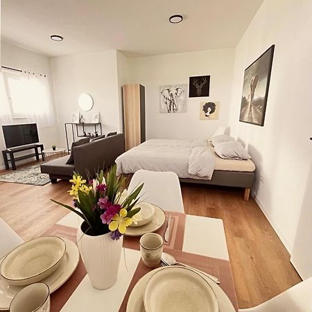 Studio Apartment Albblick Trossingen Extérieur photo