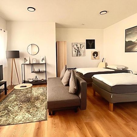 Studio Apartment Albblick Trossingen Extérieur photo